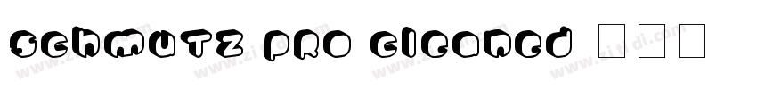Schmutz Pro Cleaned字体转换